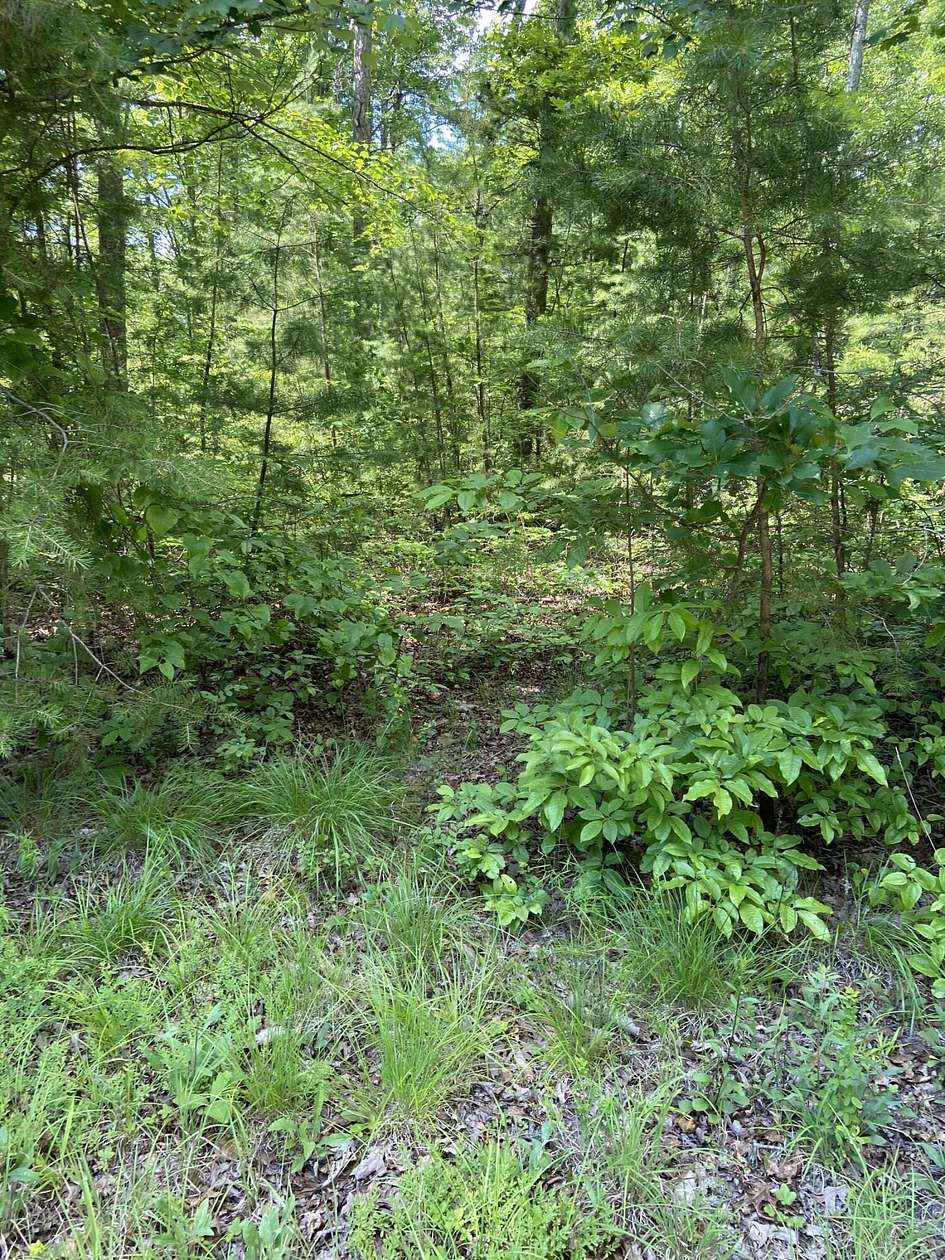 0.53 Acres of Land for Sale in Pine Knot, Kentucky