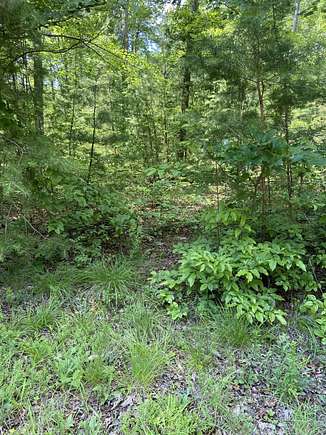 0.53 Acres of Land for Sale in Pine Knot, Kentucky