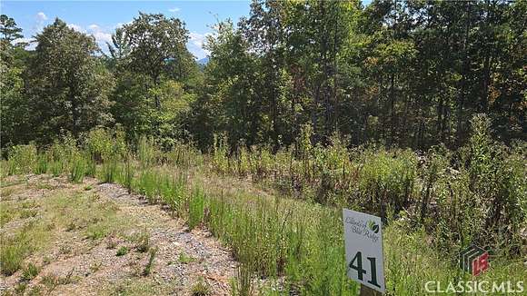 0.96 Acres of Residential Land for Sale in Mineral Bluff, Georgia