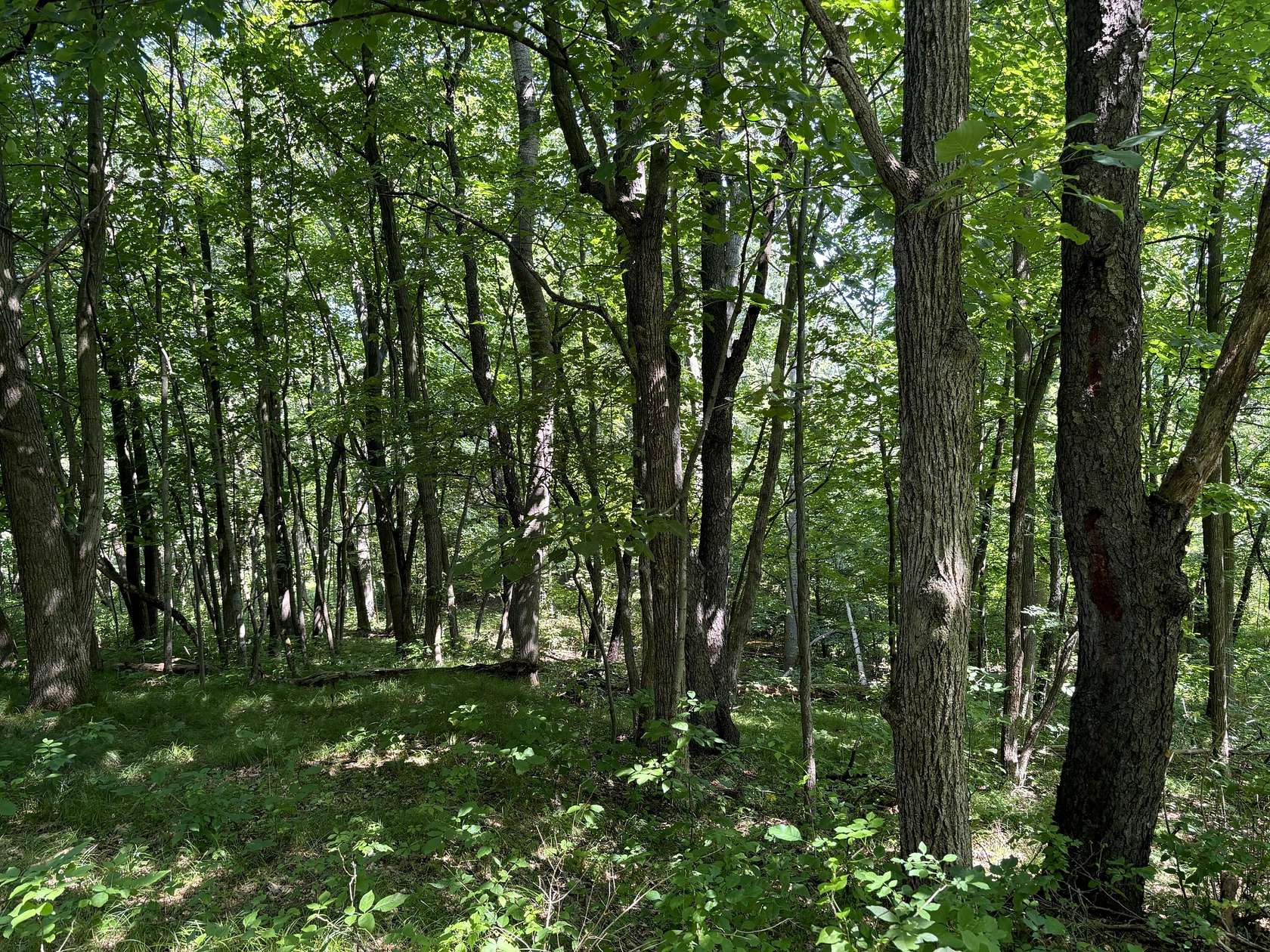 2.2 Acres of Residential Land for Sale in Davisburg, Michigan