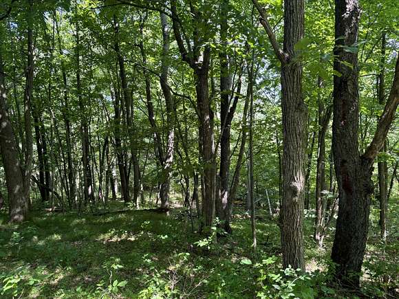 2.2 Acres of Residential Land for Sale in Davisburg, Michigan