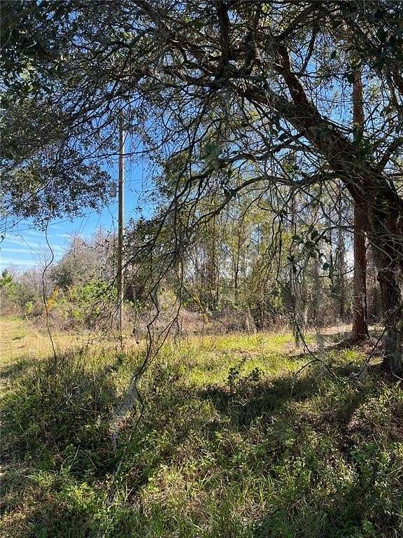 3.25 Acres of Residential Land for Sale in Groveland, Florida