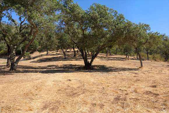 35.42 Acres of Land for Sale in Santa Rosa, California