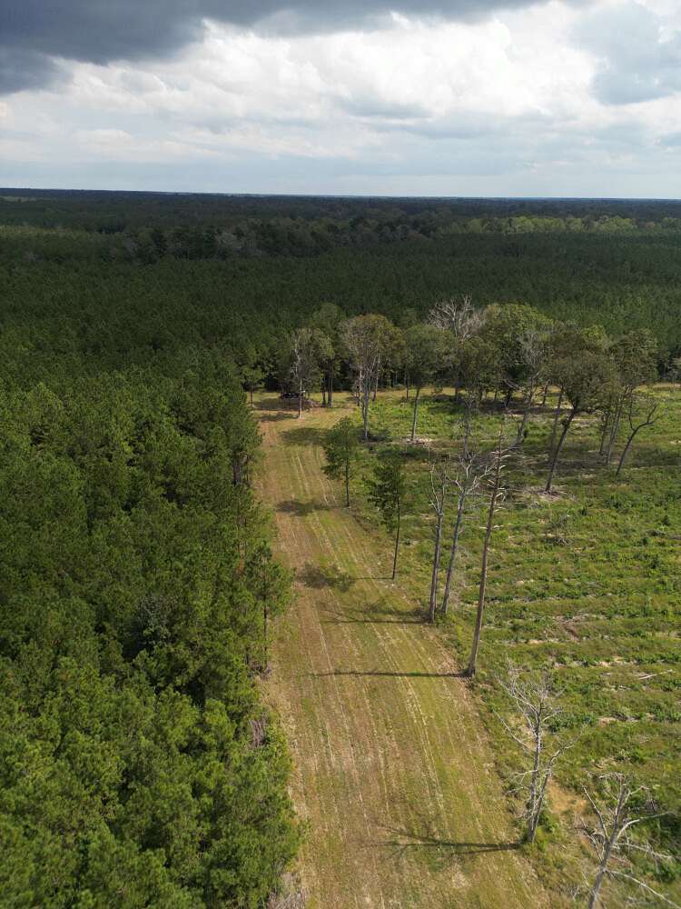 104 Acres of Recreational Land for Sale in Pine Grove, Louisiana