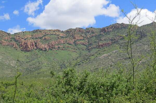 601 Acres of Recreational Land & Farm for Sale in Hereford, Arizona