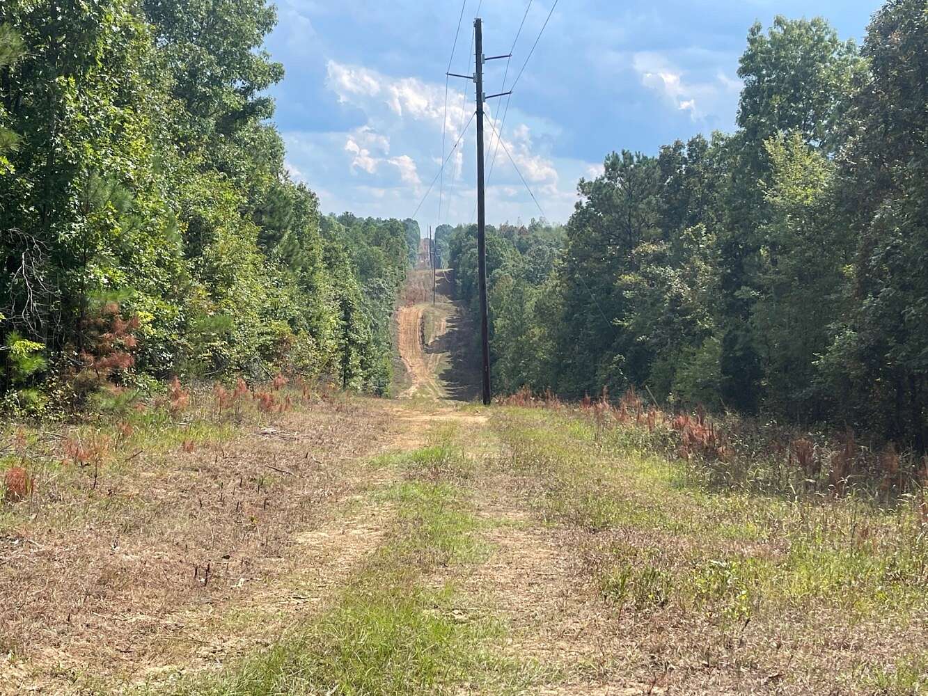 296 Acres of Land for Sale in Guin, Alabama