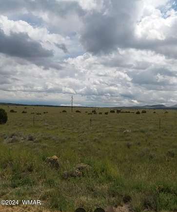 0.25 Acres of Land for Sale in Concho, Arizona