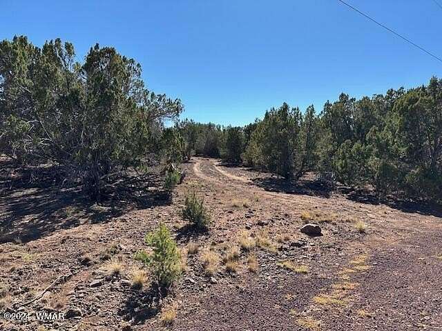 1.16 Acres of Residential Land for Sale in Concho, Arizona