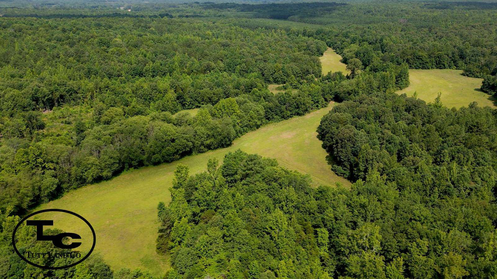 172 Acres of Recreational Land for Sale in Finger, Tennessee