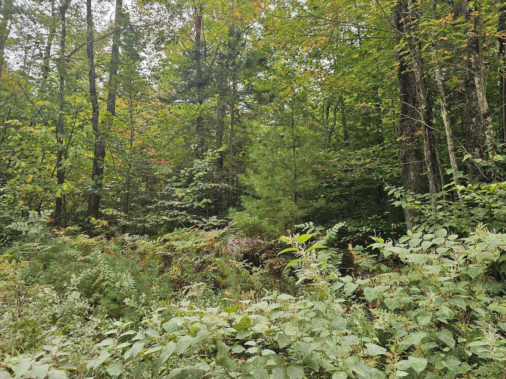 2 Acres of Residential Land for Sale in Sumner, Maine