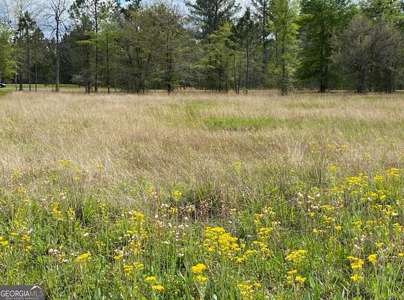 1.01 Acres of Residential Land for Sale in Fleming, Georgia