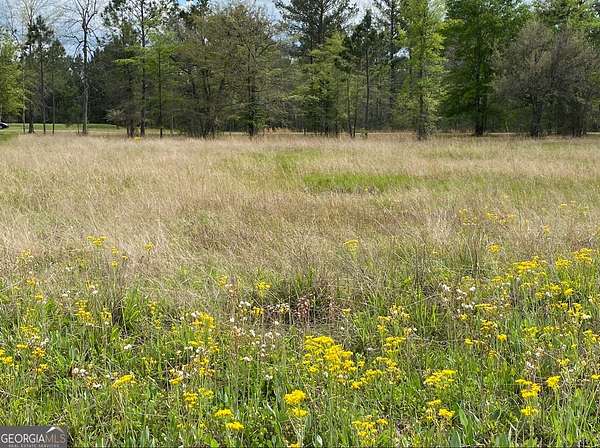 1 Acre of Residential Land for Sale in Fleming, Georgia