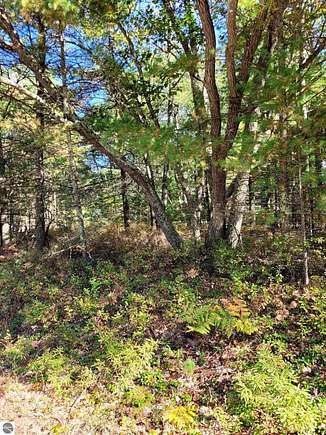 0.41 Acres of Residential Land for Sale in East Tawas, Michigan