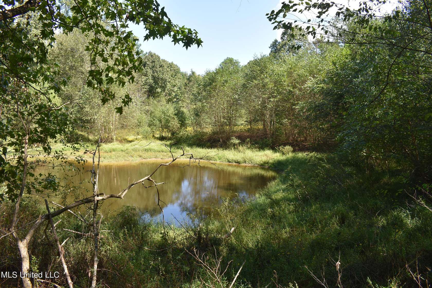 80 Acres of Land for Sale in Byhalia, Mississippi