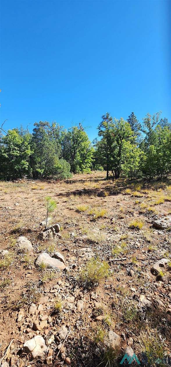 3.25 Acres of Residential Land for Sale in McGaffey, New Mexico