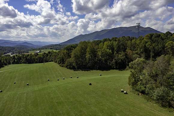 41.21 Acres of Land for Sale in Buchanan, Virginia