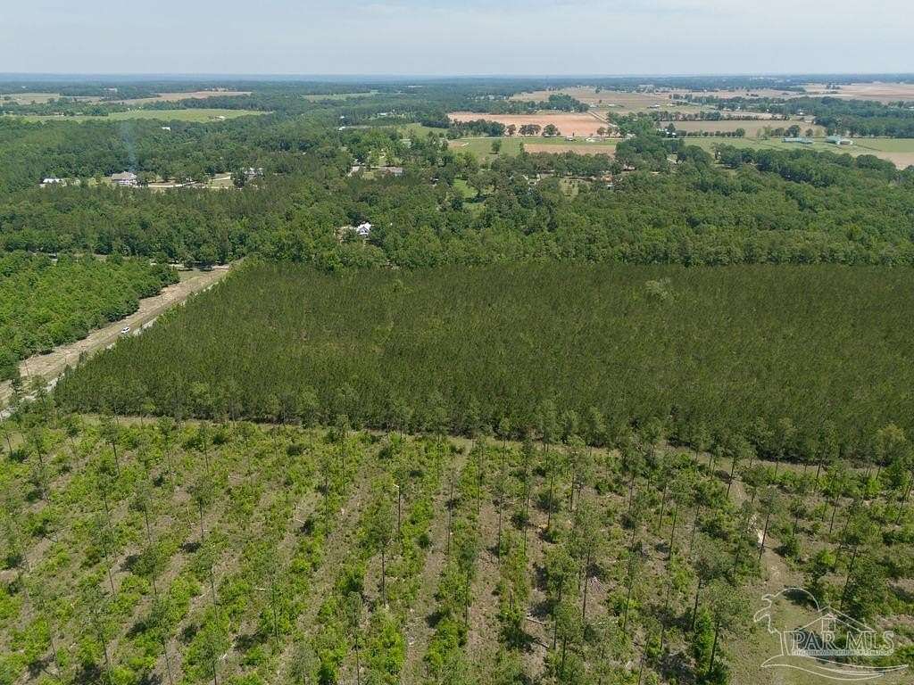 15.63 Acres of Land for Sale in Jay, Florida