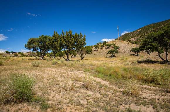 22 Acres of Land for Sale in Hernandez, New Mexico