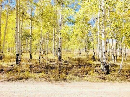 0.93 Acres of Residential Land for Sale in Cedar City, Utah