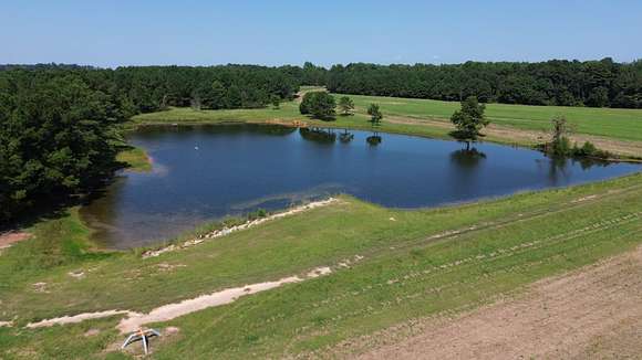 102 Acres of Recreational Land & Farm for Sale in Elko, Georgia