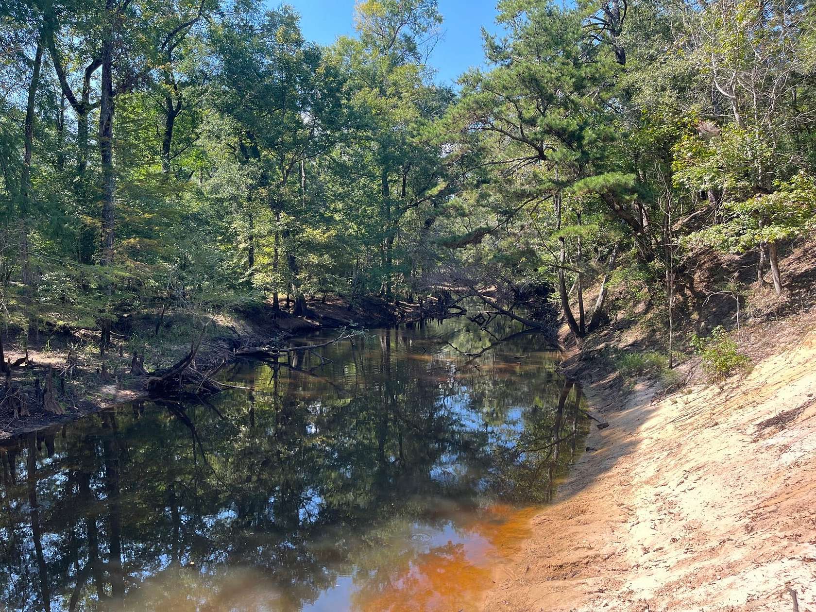 492 Acres of Recreational Land for Sale in Swainsboro, Georgia