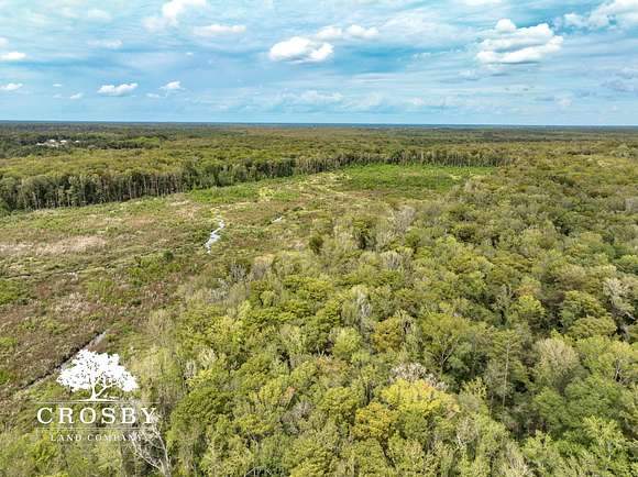 118 Acres of Recreational Land for Sale in Walterboro, South Carolina