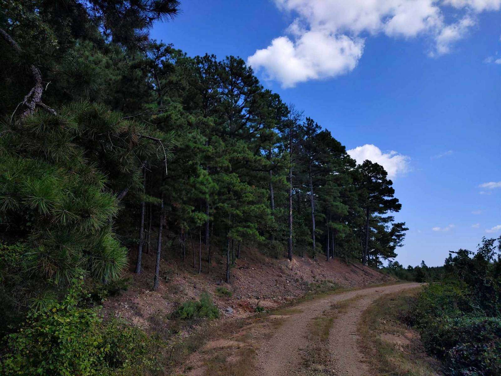 3.98 Acres of Land for Sale in Watson, Oklahoma