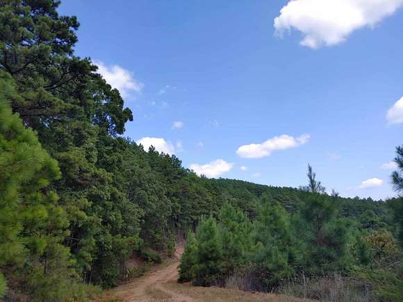 6.29 Acres of Land for Sale in Watson, Oklahoma