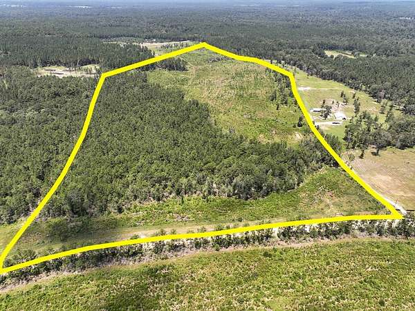 61.6 Acres of Land for Sale in Corrigan, Texas