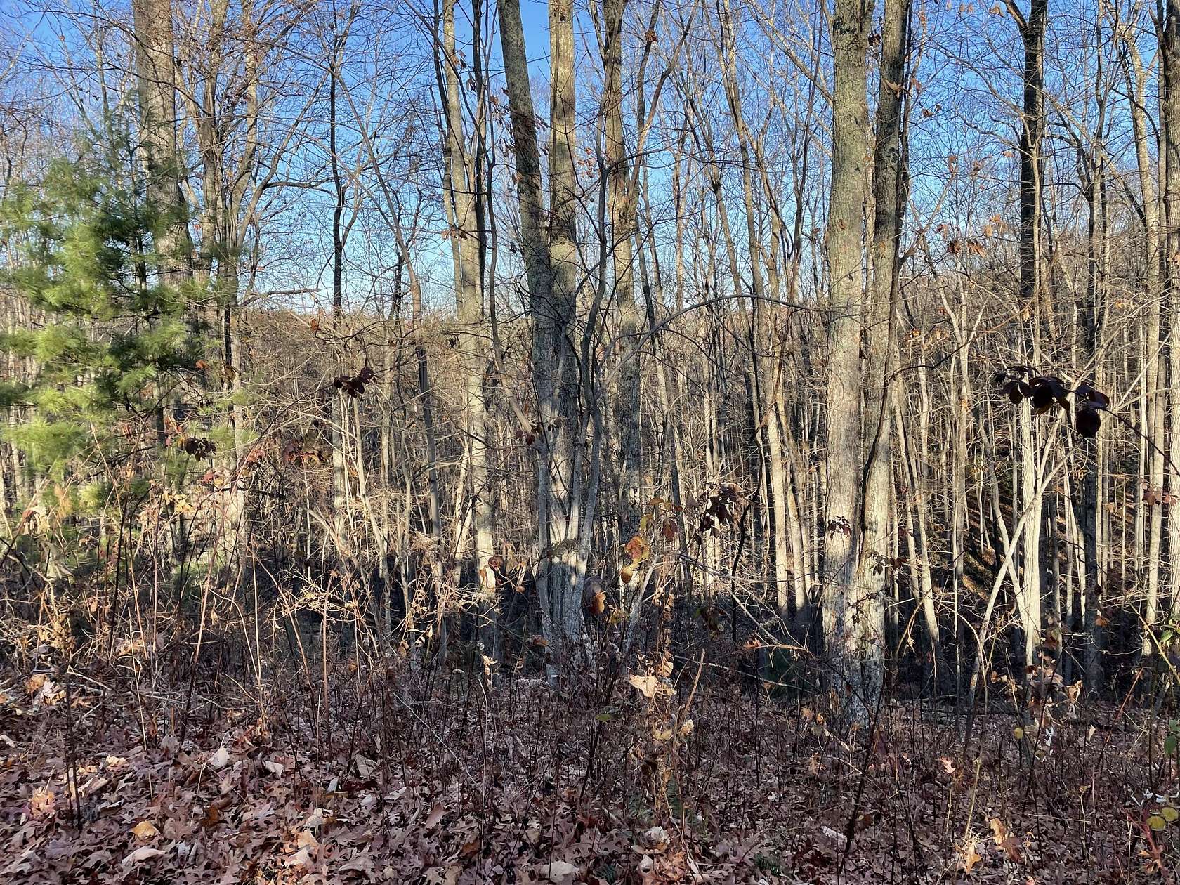 5 Acres of Residential Land for Sale in Pipestem, West Virginia