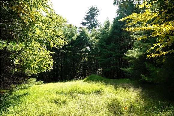 2.6 Acres of Residential Land for Sale in Glen Spey, New York