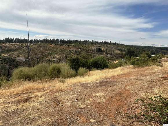 0.25 Acres of Residential Land for Sale in Magalia, California