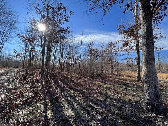 7.35 Acres of Land for Sale in Sunbright, Tennessee