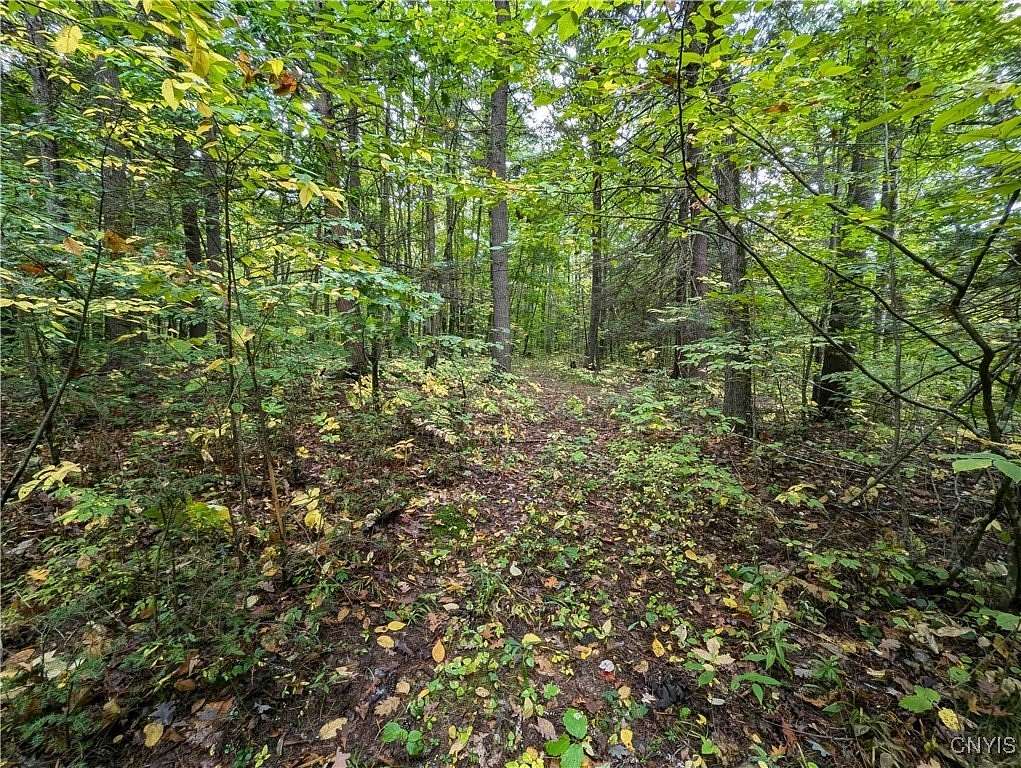 116.8 Acres of Recreational Land for Sale in Lindley, New York