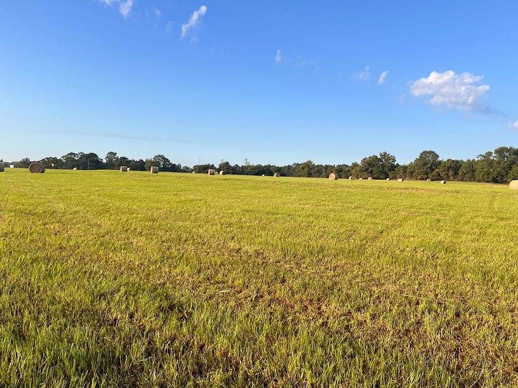 8 Acres of Residential Land for Sale in Luverne, Alabama