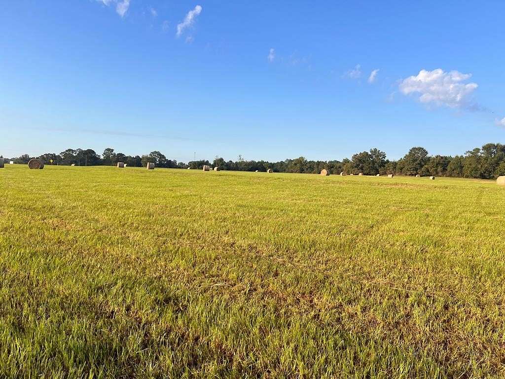 7.76 Acres of Residential Land for Sale in Luverne, Alabama