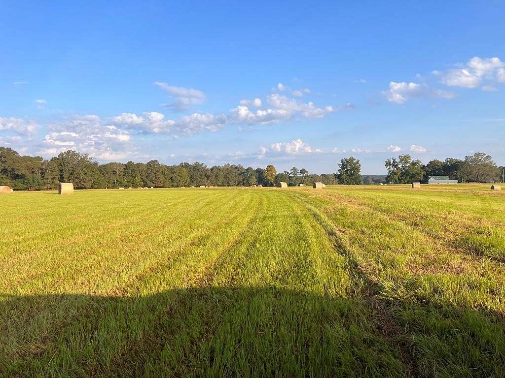 3.94 Acres of Residential Land for Sale in Luverne, Alabama