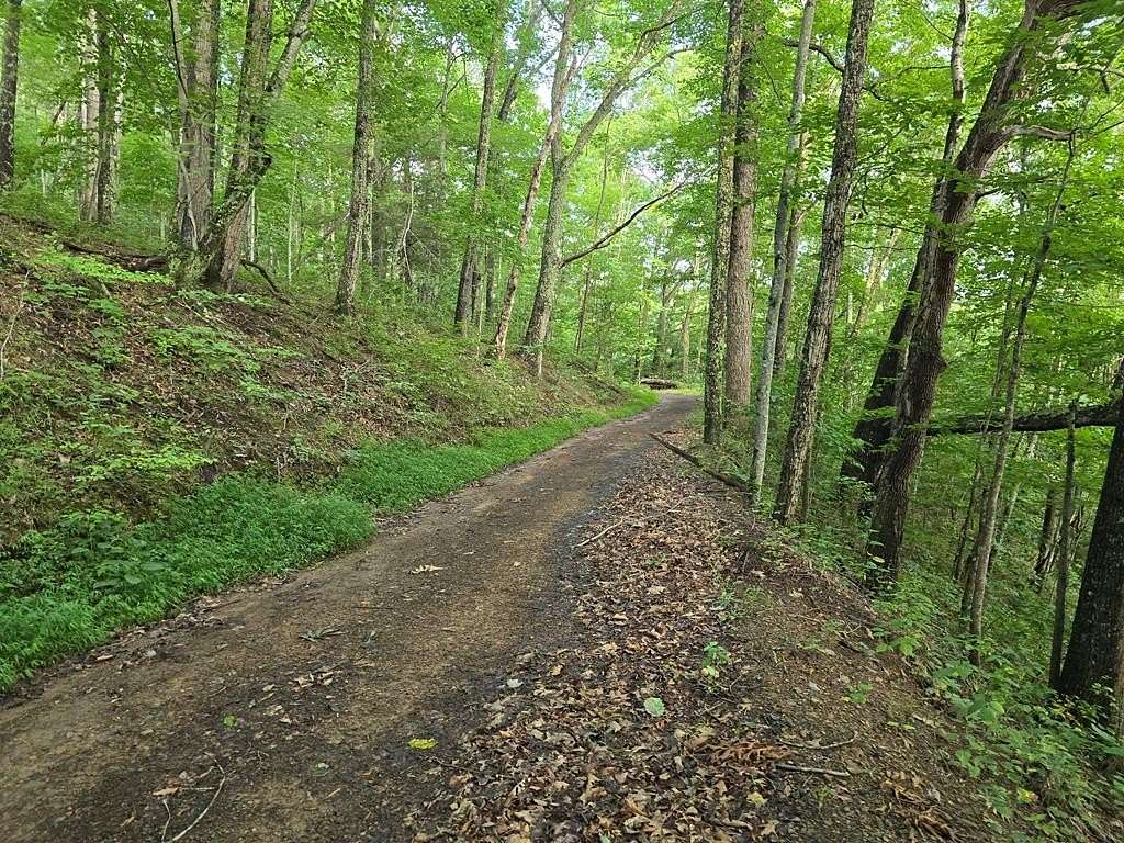 Residential Land for Sale in Surveyor, West Virginia