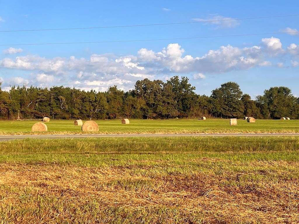 8 Acres of Residential Land for Sale in Luverne, Alabama