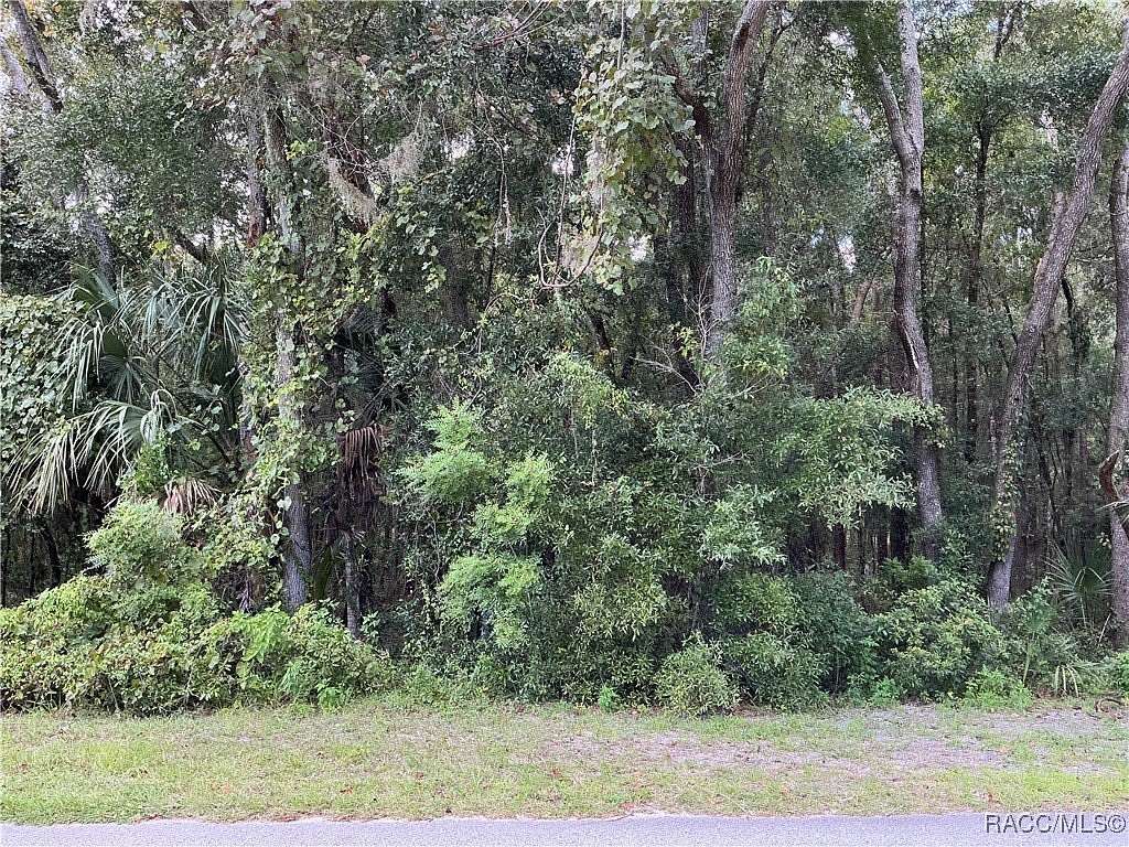 1.16 Acres of Land for Sale in Lecanto, Florida