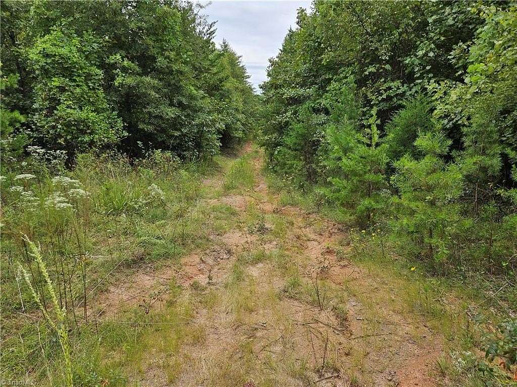 23.429 Acres of Recreational Land for Sale in Stoneville, North Carolina