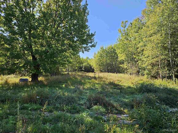 39 Acres of Recreational Land for Sale in Ontonagon, Michigan