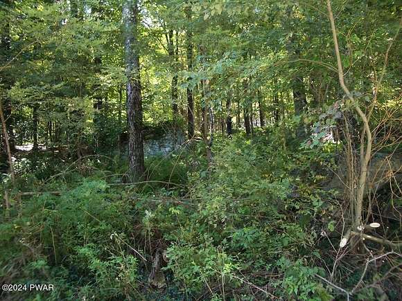 3.2 Acres of Land for Sale in Newfoundland, Pennsylvania