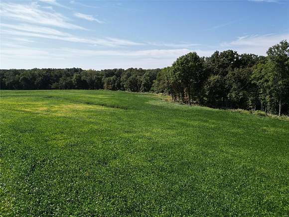 59 Acres of Agricultural Land for Sale in New Hartford, Missouri