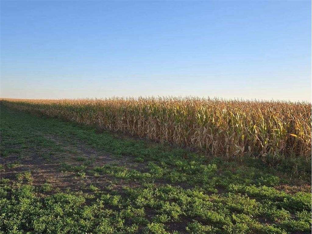 82 Acres of Agricultural Land for Auction in Morris, Minnesota