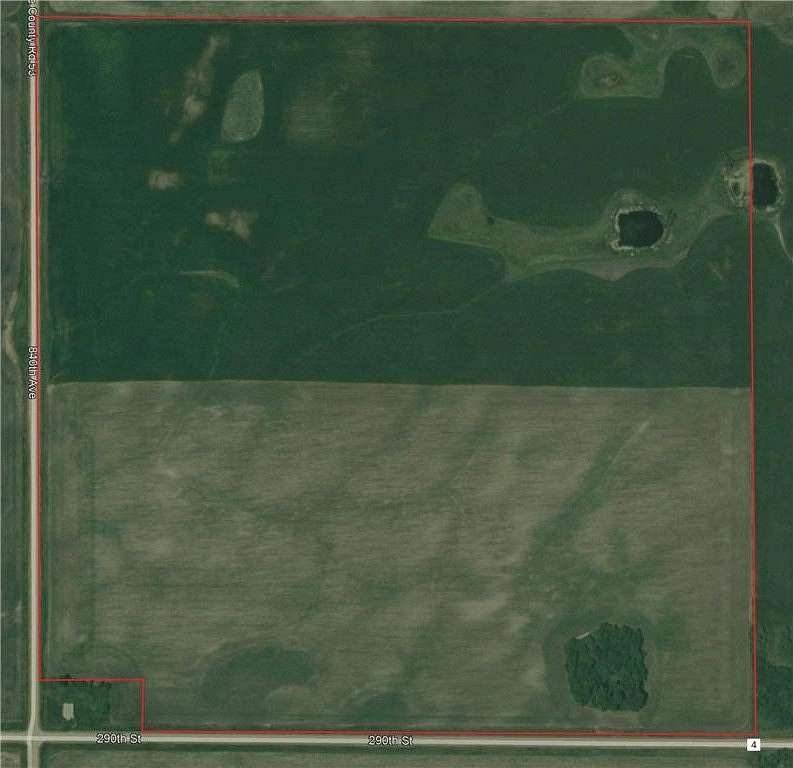 158 Acres of Agricultural Land for Auction in Beardsley, Minnesota