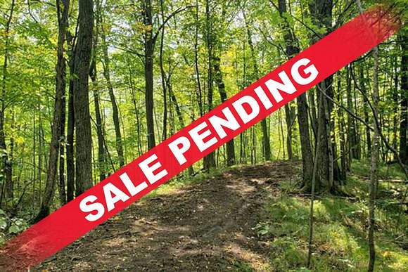 3.14 Acres of Land for Sale in Athelstane, Wisconsin