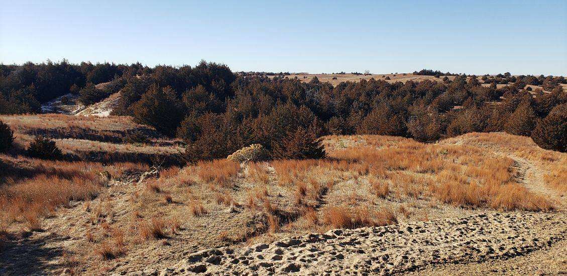201 Acres of Recreational Land & Farm for Sale in Johnstown, Nebraska