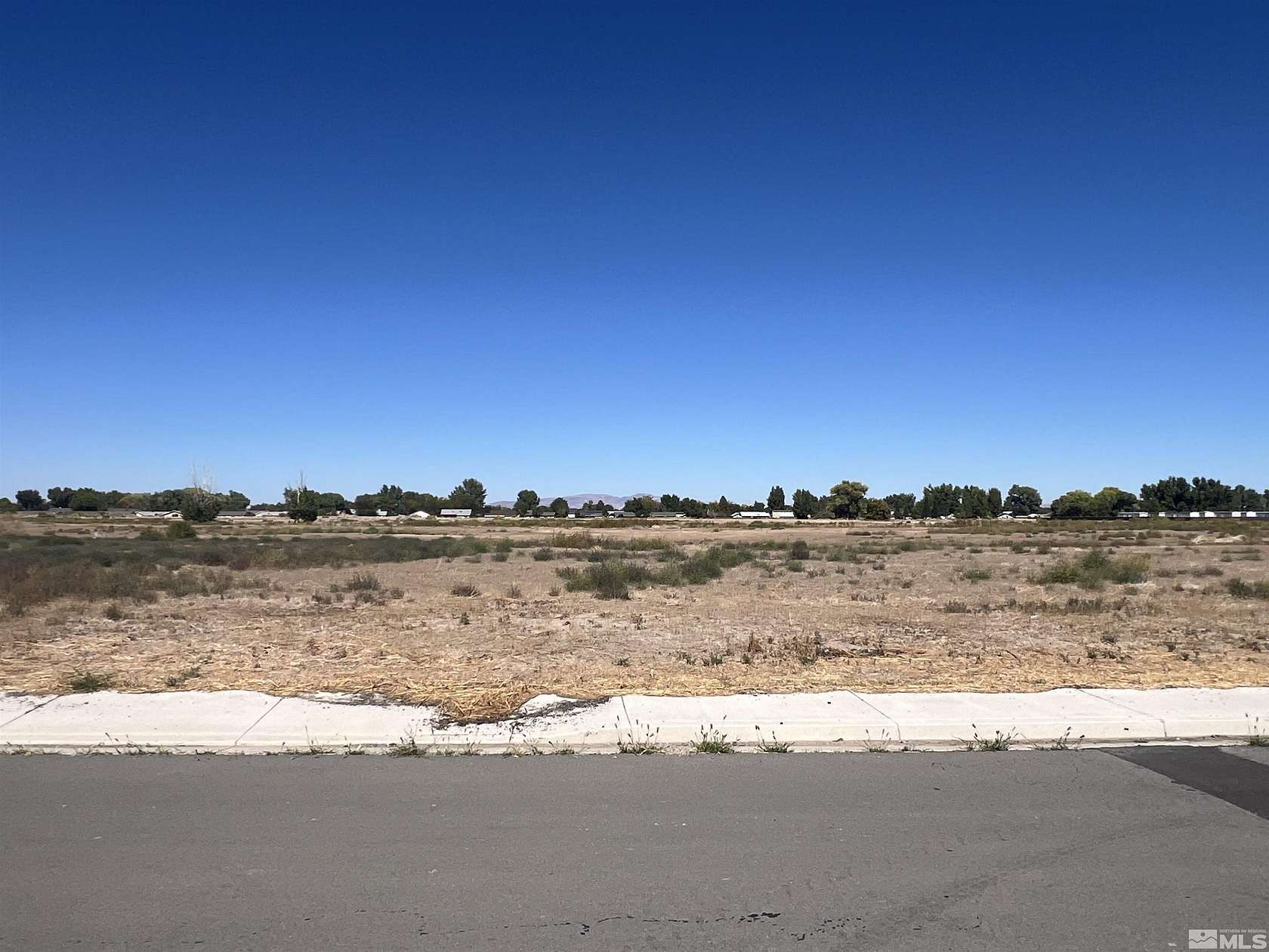 0.29 Acres of Residential Land for Sale in Yerington, Nevada