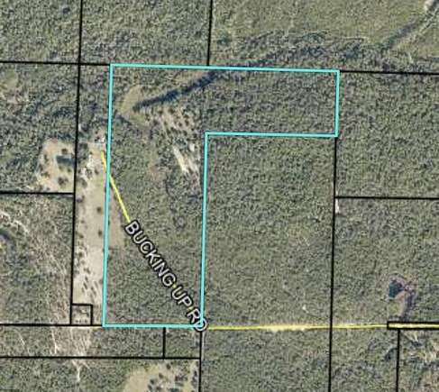 79.66 Acres of Recreational Land for Sale in Laurel Hill, Florida